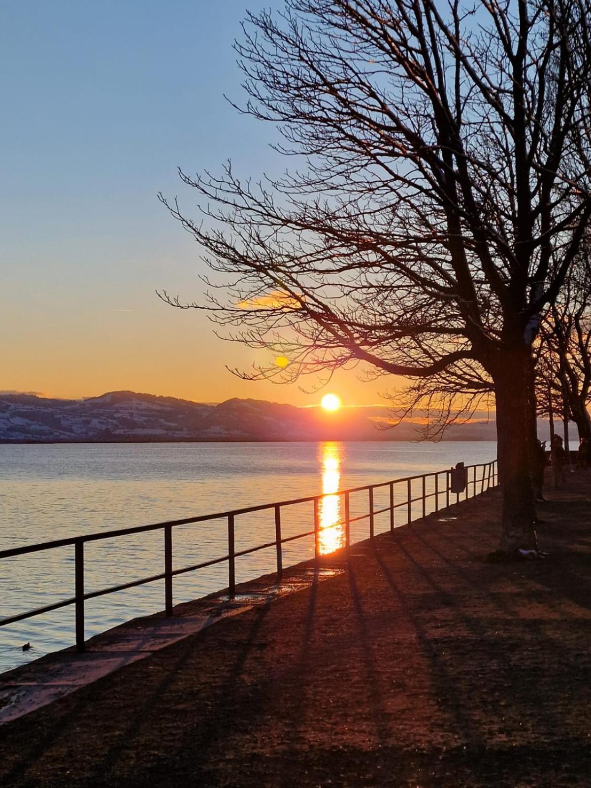 Appartement 24 Lindau  Bagian luar foto
