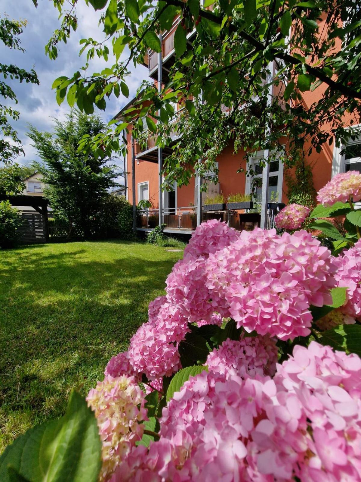 Appartement 24 Lindau  Bagian luar foto